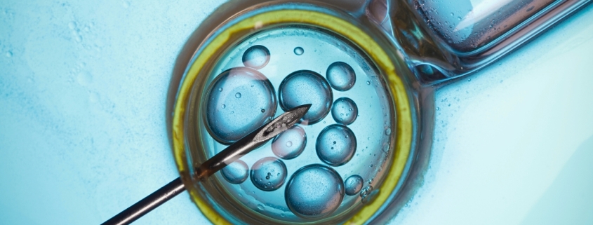 Major Study Finds IVF Not Linked to Cancer Risk, But There’s a Catch : ScienceAlert