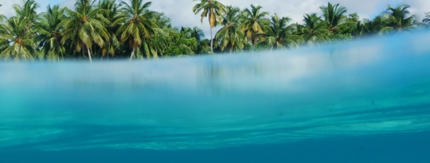 Sea Levels Are Higher Than We Thought, And The Implications Are Huge : ScienceAlert