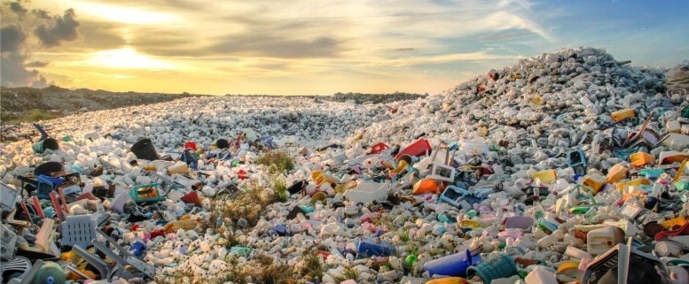 Plastic Without End: Are We Polluting the Planet for Eternity? Plastic Without End: Are We Polluting the Planet for Eternity?
