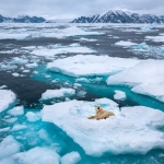 Something Strange Is Happening Deep Inside Greenland’s Ice Sheet