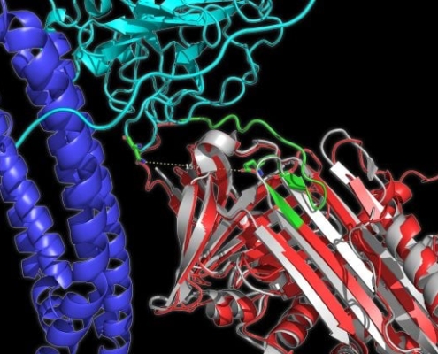 Scientists Find Alzheimer’s Clues Hidden in the Shape of Blood Proteins