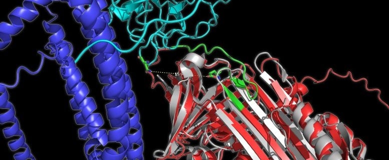 Scientists Find Alzheimer’s Clues Hidden in the Shape of Blood Proteins