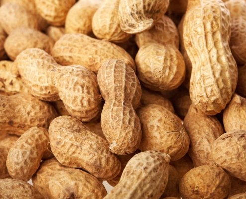 Your microbiome may determine your risk of a severe allergic reaction Your microbiome may determine your risk of a severe allergic reaction