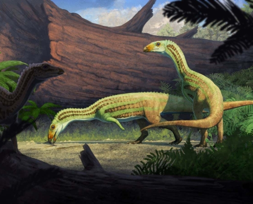 Ancient ‘weirdo’ reptile graduated from 4 legs to 2 in adolescence
