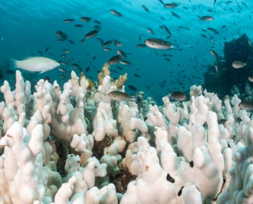 Earth is now heating up twice as fast as in previous decades