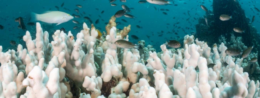 Earth is now heating up twice as fast as in previous decades