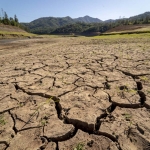 Can species evolve fast enough to survive as the planet heats up? Can species evolve fast enough to survive as the planet heats up?