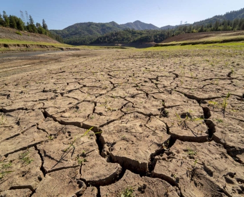 Can species evolve fast enough to survive as the planet heats up?