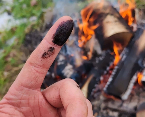 Neanderthals may have treated wounds with antibiotic sticky tar Neanderthals may have treated wounds with antibiotic sticky tar