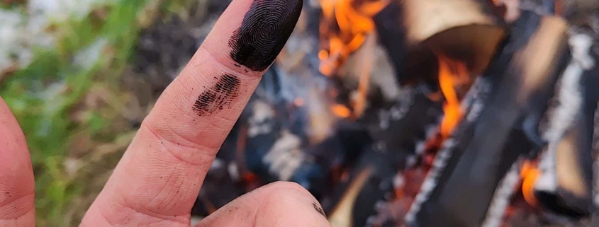 Neanderthals may have treated wounds with antibiotic sticky tar