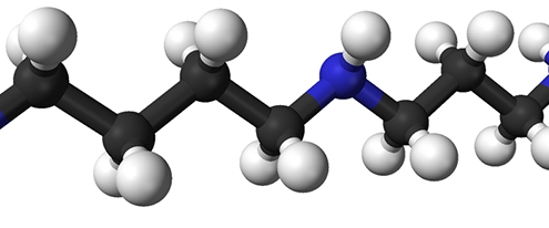 Popular Anti-Aging Supplement May Fuel Cancer Growth – Here’s Why : ScienceAlert