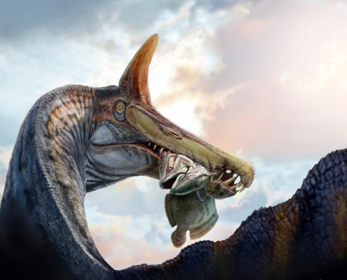 New “Hell Heron” Spinosaurus Discovered in the Sahara With Giant Blade Crest