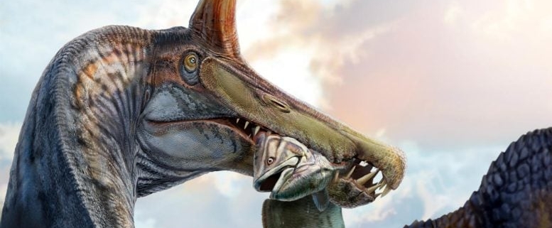 New “Hell Heron” Spinosaurus Discovered in the Sahara With Giant Blade Crest