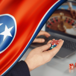Tennessee House panel advances bill targeting sweepstakes-style online casinos