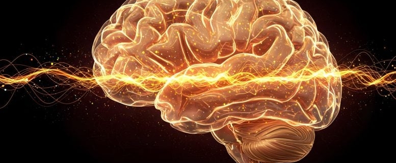 Scientists Discover the Brain Switch That Keeps Cocaine Addiction Alive