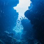 We Finally Know What Tore a 500-Km ‘Grand Canyon’ Into The Atlantic Seafloor : ScienceAlert