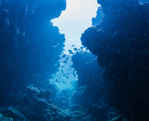 We Finally Know What Tore a 500-Km ‘Grand Canyon’ Into The Atlantic Seafloor : ScienceAlert