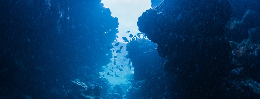 We Finally Know What Tore a 500-Km ‘Grand Canyon’ Into The Atlantic Seafloor : ScienceAlert