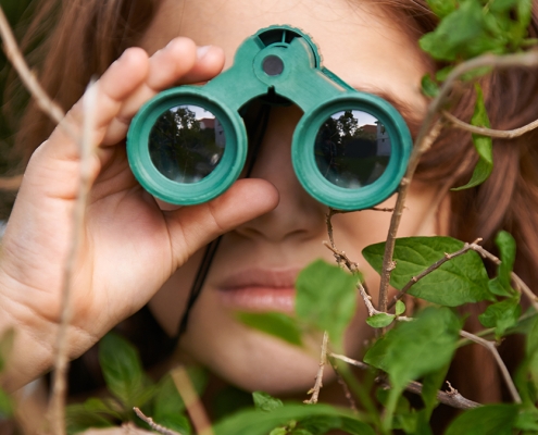 Birdwatching May Help Protect Your Brain From Age-Related Decline