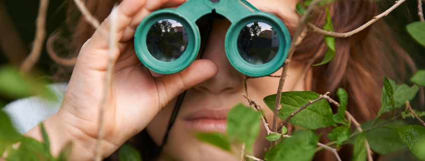 Birdwatching May Help Protect Your Brain From Age-Related Decline