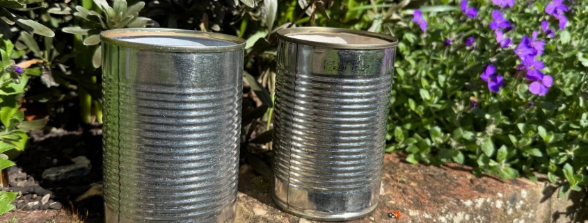 Homeowners are being urged to use tin cans in their gardens (really) — here’s why