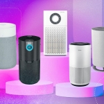 Want to Avoid Getting Sick? Our Data Reveals That This Air Purifier Works Best