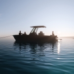Arc expands into electric commercial and defense boats with M raise