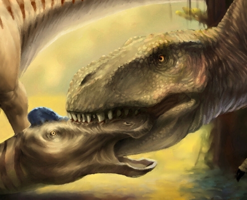 Scientists Found a T. Rex Tooth Embedded in Another Dinosaur’s Skull : ScienceAlert