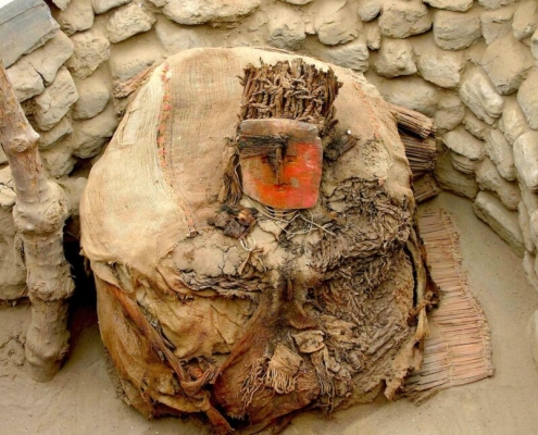 Centuries before the Inca, Peru’s wealthy imported parrots from afar