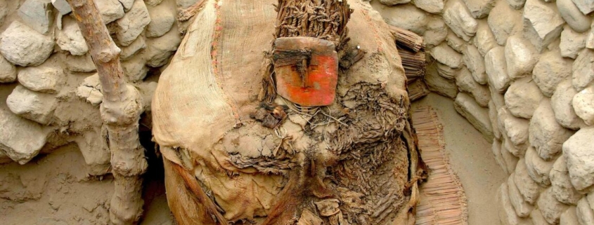 Centuries before the Inca, Peru’s wealthy imported parrots from afar