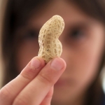 Microbes That ‘Disarm’ Peanut Allergy Proteins Discovered in Mouth And Gut : ScienceAlert