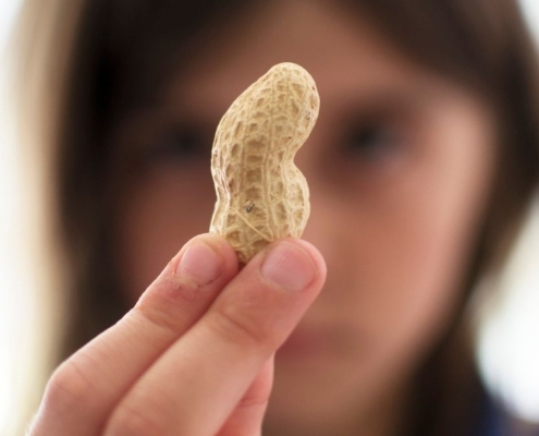 Microbes That ‘Disarm’ Peanut Allergy Proteins Discovered in Mouth And Gut : ScienceAlert