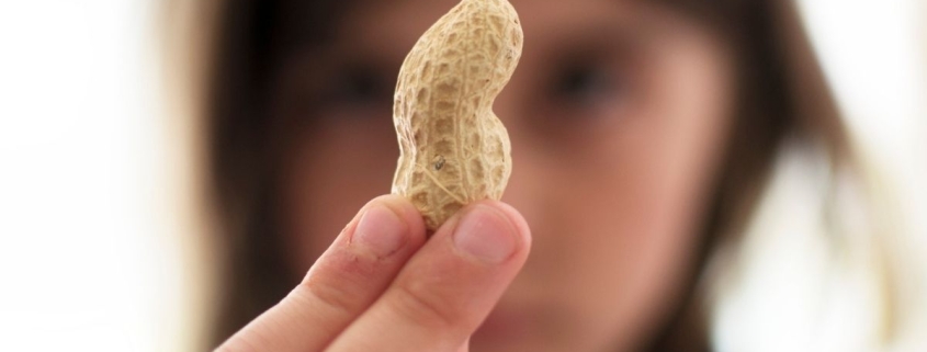 Microbes That ‘Disarm’ Peanut Allergy Proteins Discovered in Mouth And Gut : ScienceAlert