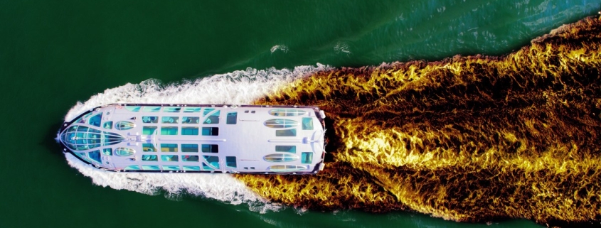 Luxury Cruise Descends Into a Diarrhea Nightmare Luxury Cruise Descends Into a Diarrhea Nightmare