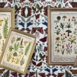 I’m determined to turn my house into a museum with these stunning wildlife identification paintings from Holly Sweet Illustration