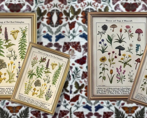 I’m determined to turn my house into a museum with these stunning wildlife identification paintings from Holly Sweet Illustration