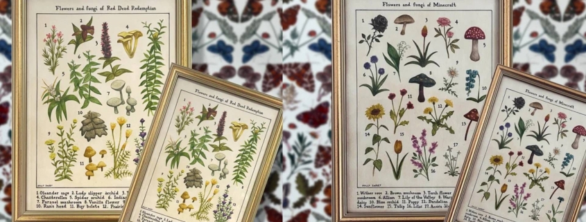 I’m determined to turn my house into a museum with these stunning wildlife identification paintings from Holly Sweet Illustration