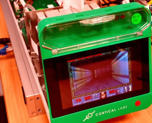 Researchers Get Human Brain Cells Running Doom Researchers Get Human Brain Cells Running Doom