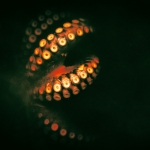 Efforts Grow to Ban Octopus Farming