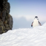 I used Omega Linux to revitalize a junk PC, and it’s noticeably better than Ubuntu I used Omega Linux to revitalize a junk PC, and it’s noticeably better than Ubuntu