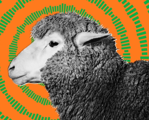 US Military Tested Havana Syndrome Weapon on Large Mammals, Whistleblowers Says