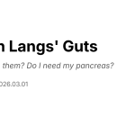 Lil' Fun Langs' Guts