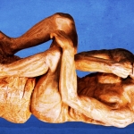 Ig Nobels ceremony moves to Europe over security concerns