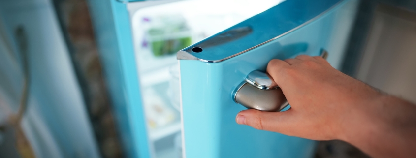 The Small Gadget Experts Say You Should Always Keep In Your Refrigerator The Small Gadget Experts Say You Should Always Keep In Your Refrigerator