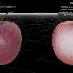 New Apple model recreates 3D objects with realistic lighting effects