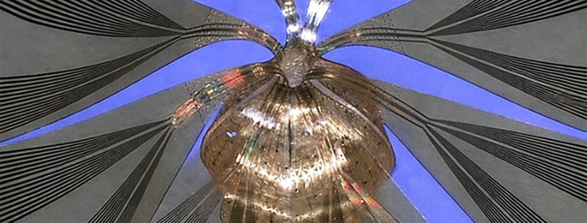 New Device Detects Brain Waves in Mini Brains Mimicking Early Human Development