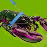 Hustlers are cashing in on China’s OpenClaw AI craze