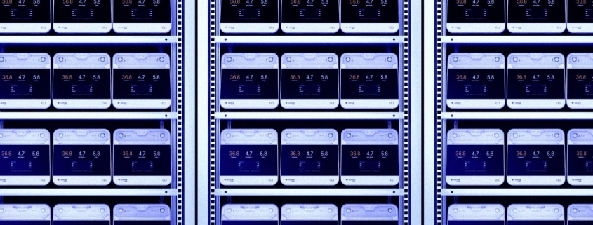 New Data Centers Will Be Powered by Human Brain Cells