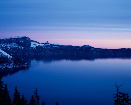 Got an old PC? Omega Linux can make it feel new again – here’s how Got an old PC? Omega Linux can make it feel new again – here’s how