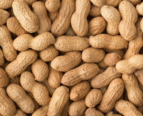 Scientists Find a Built-In Weapon Against Peanut Allergies: Human Spit